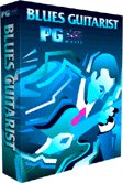 Blues Guitarist