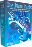 Blues Pianist