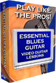 Essential Blues Guitar Volume 1