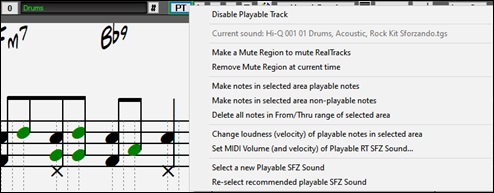 Notation Window