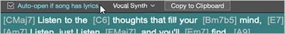 Big Lyrics window - Auto-Open checkbox