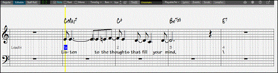 Notation window - Editable mode
