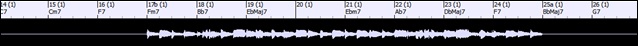 waveform for a region on the Tracks window