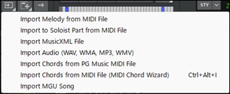 Import button and its drop-down menu