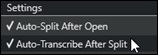 Stem Splitter Player - Settings menu - Auto-Transcribe After Split